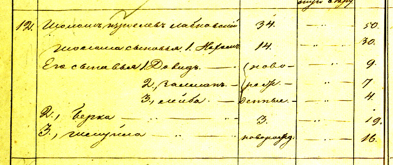 Выписка из переписи 1850 года по городу Суражу. Семья Шолома Израилева Лабковского
